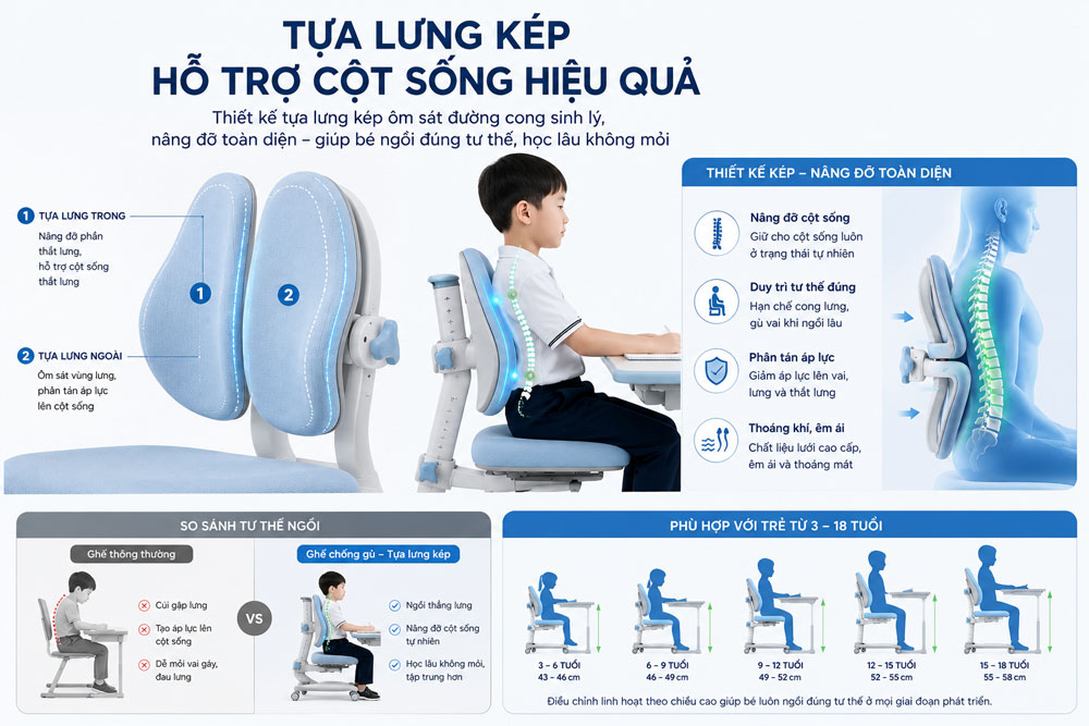 TỰA LƯNG KÉP HỖ TRỢ CỘT SỐNG HIỆU QUẢ